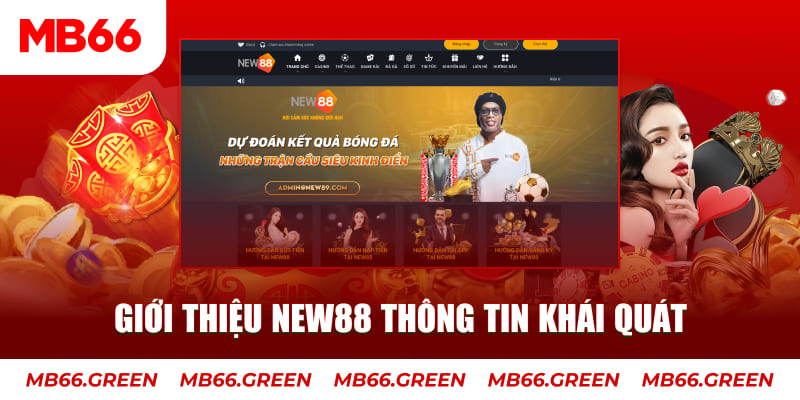 win33 c1 gà chọi