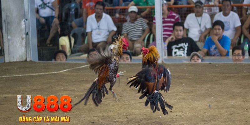 win33 đăng nhập mậu binh khuyến mãi
