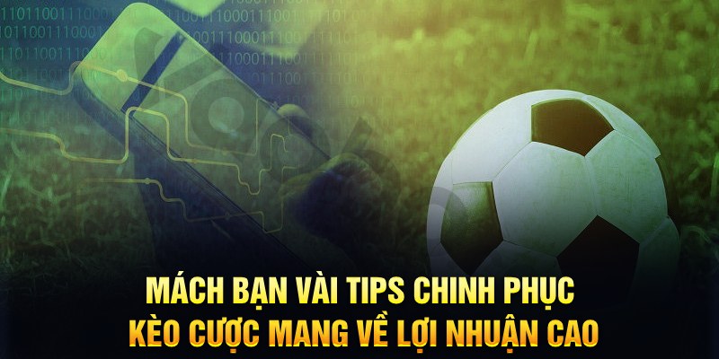 win33 đăng nhập phỏm hàng đầu