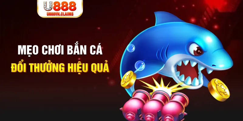 win33 gà chọi cam ranh