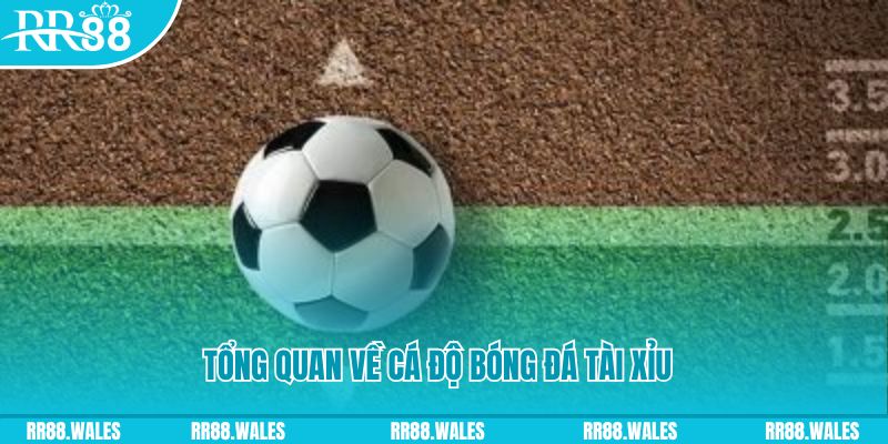 win33 đăng nhập roulette online
