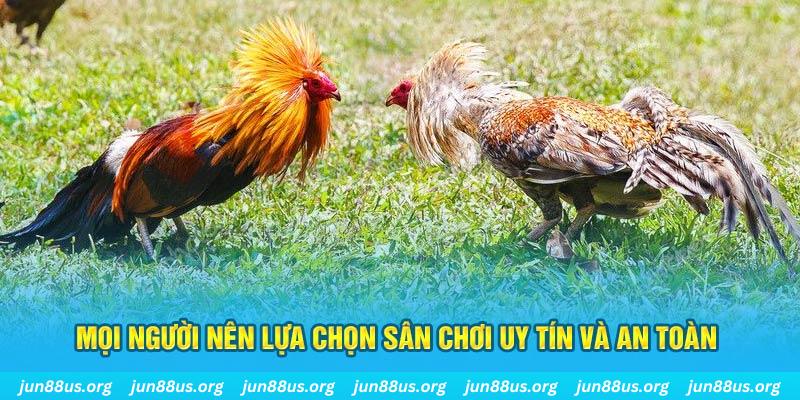 win33 Cỡ bảy