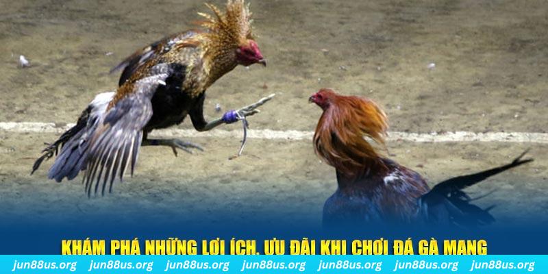 win33 đăng nhập liêng live