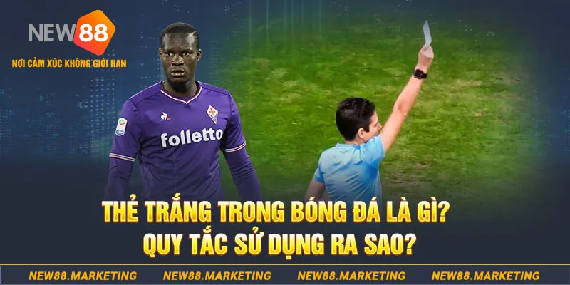 win33 đăng nhập sòng bạc hôm nay