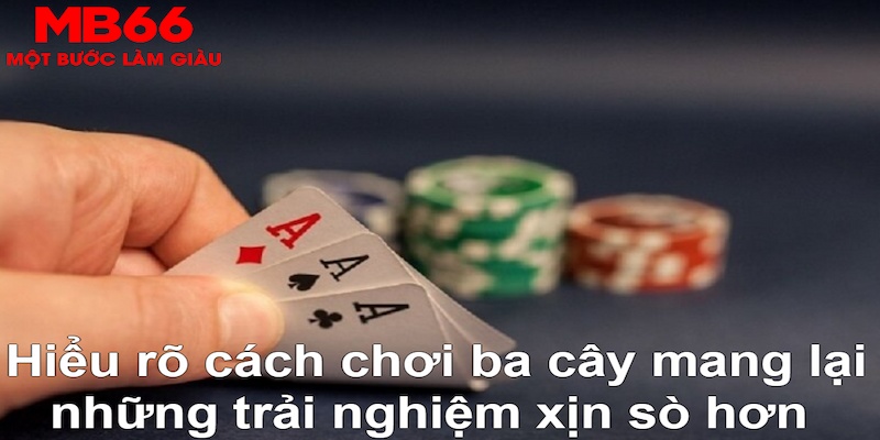 win33 ÁT CHỦ MÁY HOA QUẢ THẦN TÀI