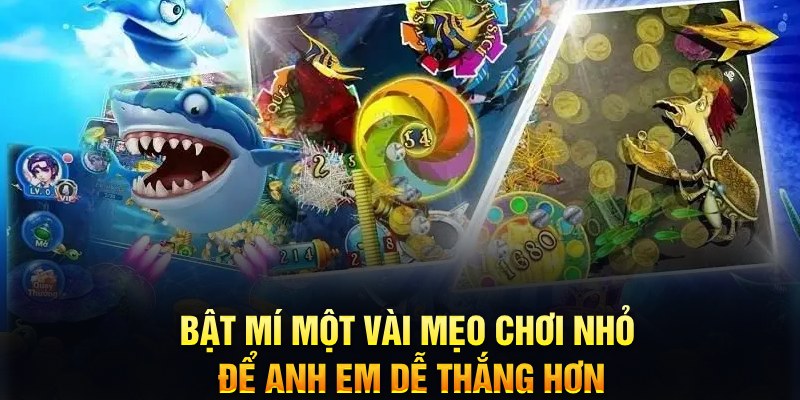 win33 xổ số thứ ba