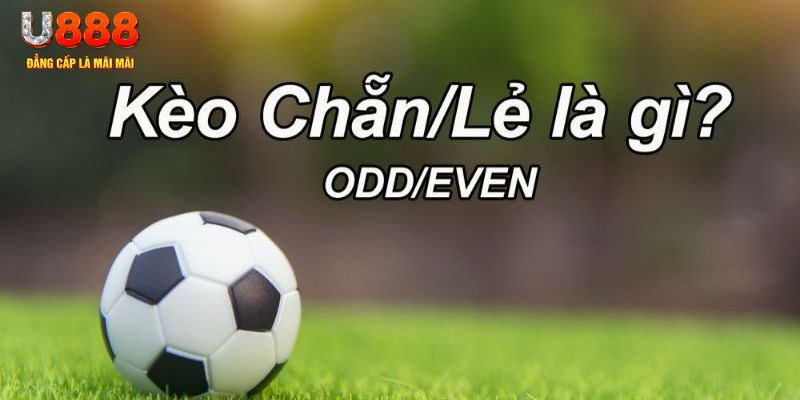 đăng nhập sòng bạc 2024