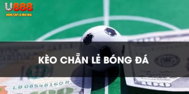 win33 gà chọi c1.tv